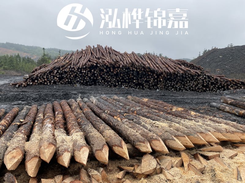 6米長松木樁有哪些作用，多少錢一根？