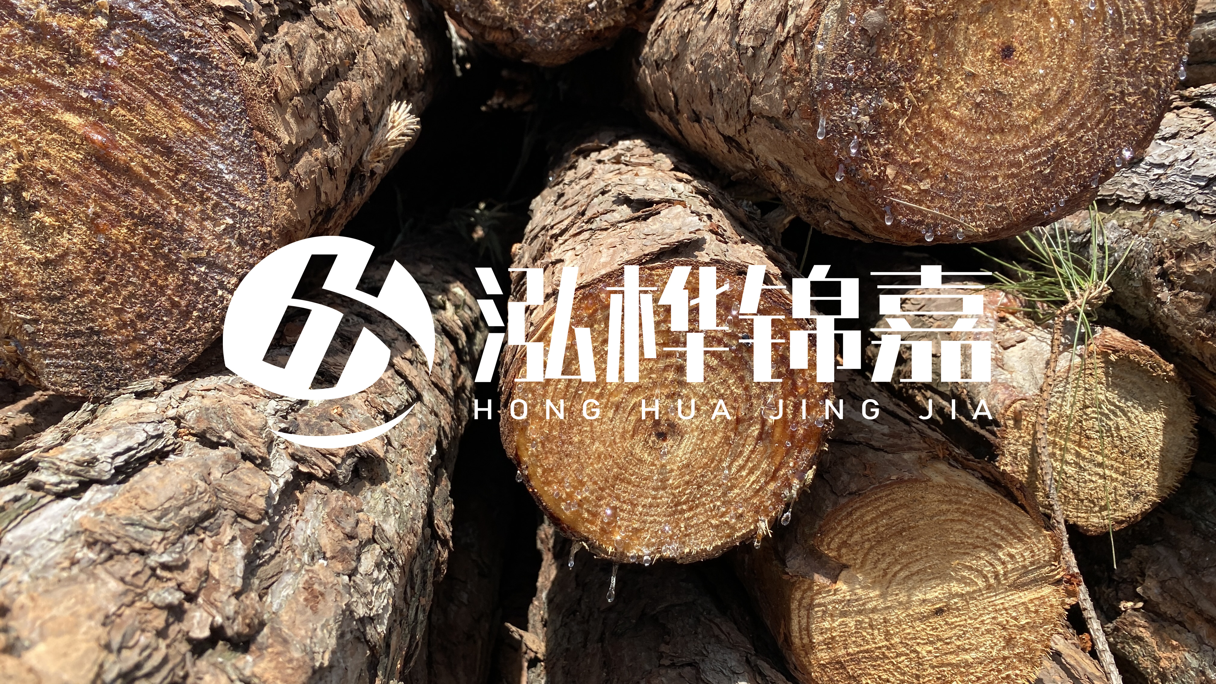 為什么要用松木樁治理河道？
