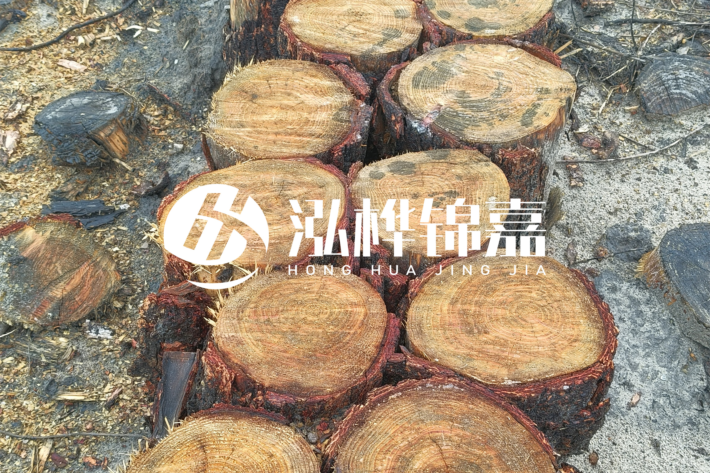 浙江臺州有清淤的公司嗎？浙江臺州有清淤施工隊嗎？