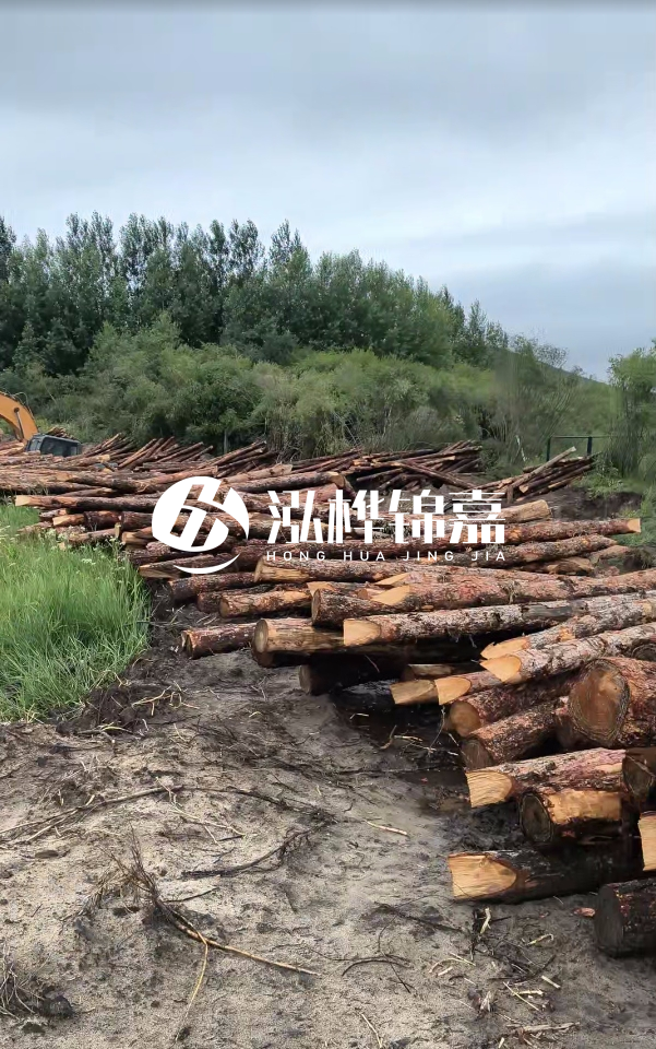 甘肅河道清淤工程公司-為什么要進行河道清淤？
