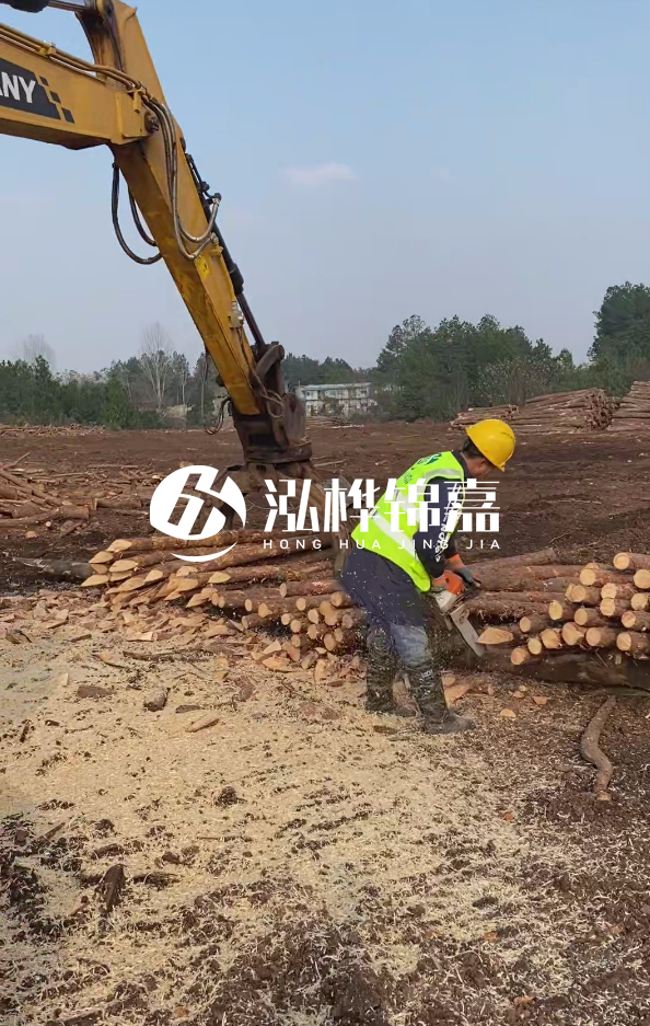 銅陵挖機(jī)打木樁專業(yè)施工-打松木樁一般算米還是算根？