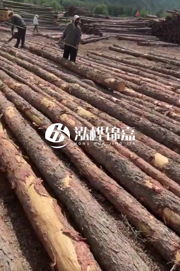 ?？谒赡緲对搭^廠家-松木樁最長(zhǎng)可以做多少米？