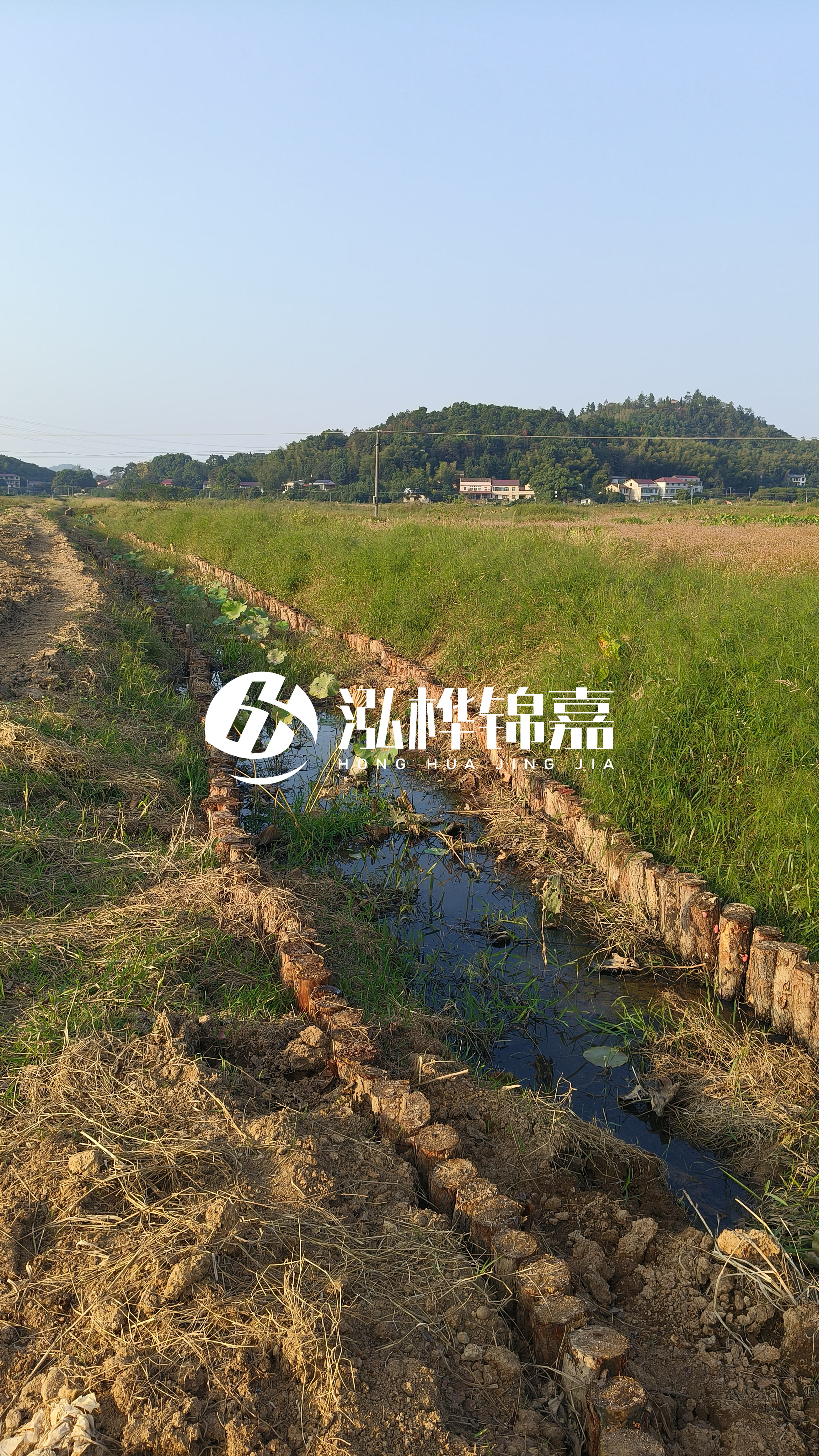 河道護(hù)坡打木樁的目的全解析：你知道幾個？