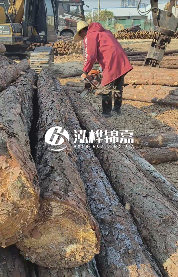 長沙打樁木批發(fā)廠家在哪里？聯(lián)系方式是什么？