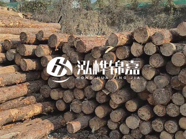 落葉松木材的主要產(chǎn)地在哪里？為什么比其他松木更耐腐蝕？