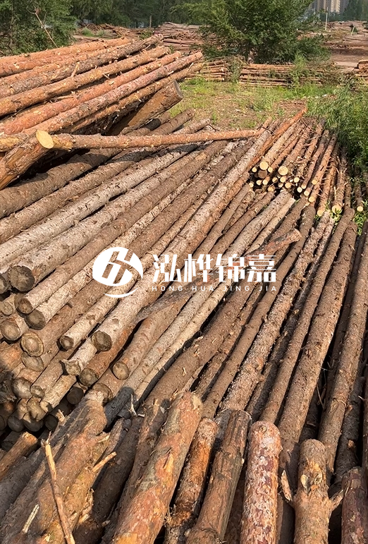 如何選擇合適的松木樁廠(chǎng)家？采購(gòu)松木樁需要考慮的因素有哪些？