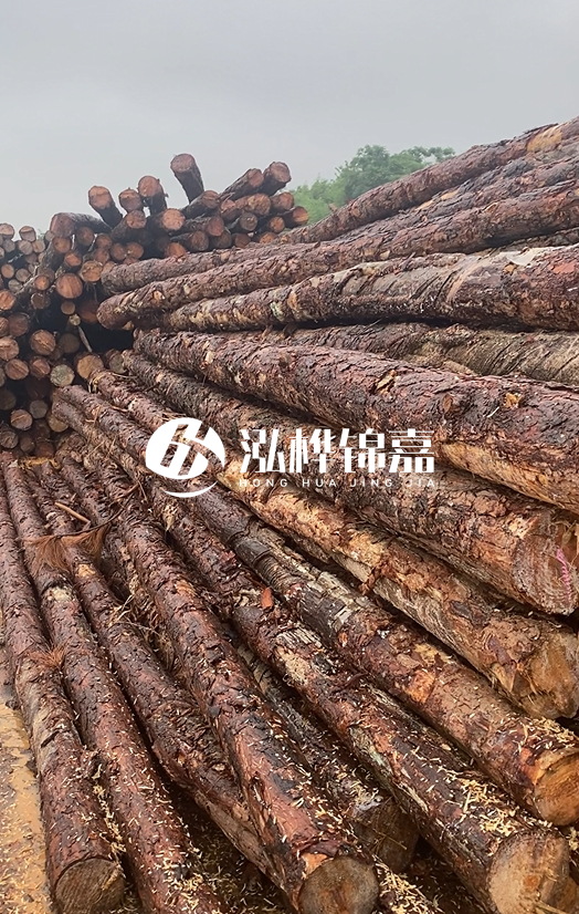 購買松木樁注意事項(xiàng)有哪些-不同直徑松木樁區(qū)別有哪些？