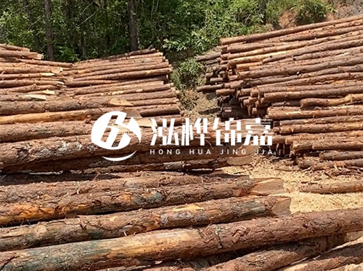 松木樁的運(yùn)輸費(fèi)用是否包含卸車費(fèi)？卸貨時(shí)需要注意哪些安全問題？