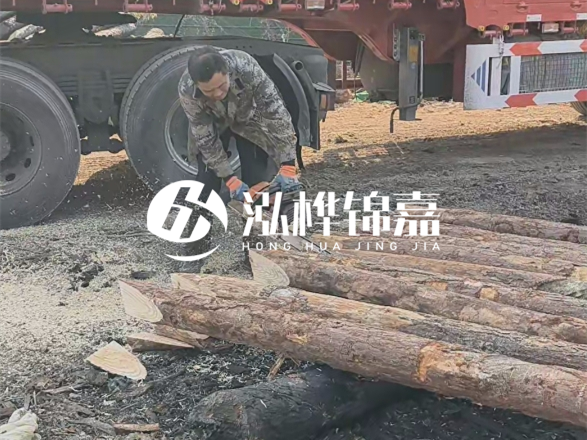 松木圓木價(jià)格大概多少一方-松木樁廠家按方可以賣嗎？