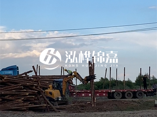 河北打樁木源頭廠家泓樺錦嘉 - 北方常用打樁木是什么？
