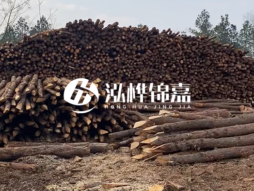 地基打木樁用什么木材 - 地基打木樁的能撐幾年？
