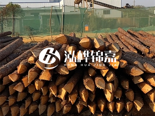 松木樁6米15cm打樁多少錢(qián)一根-專業(yè)打木樁隊(duì)聯(lián)系電話？