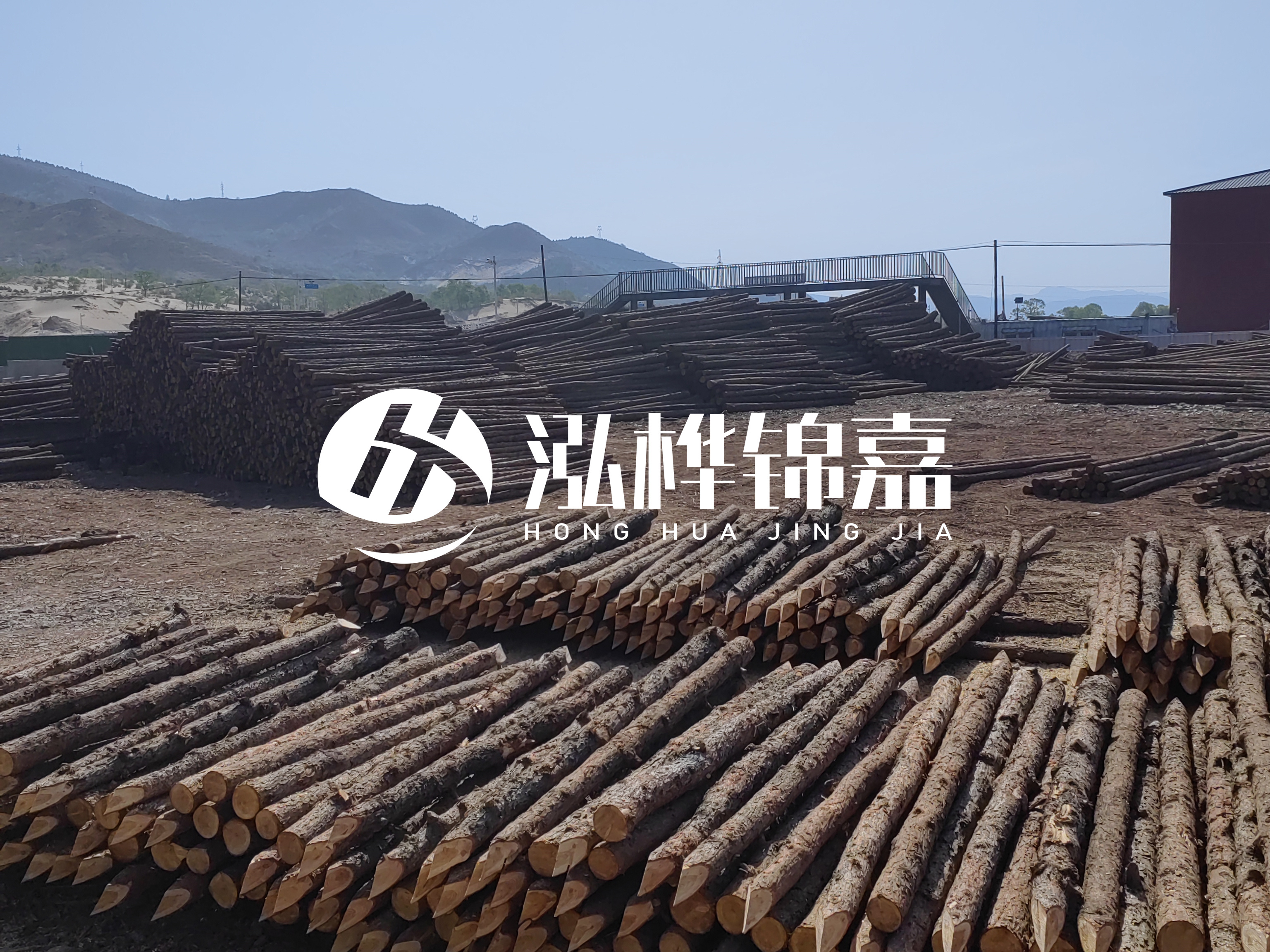 江蘇打樁木源頭廠家泓樺錦嘉-4米打樁木大頭14-16小頭一般多少？