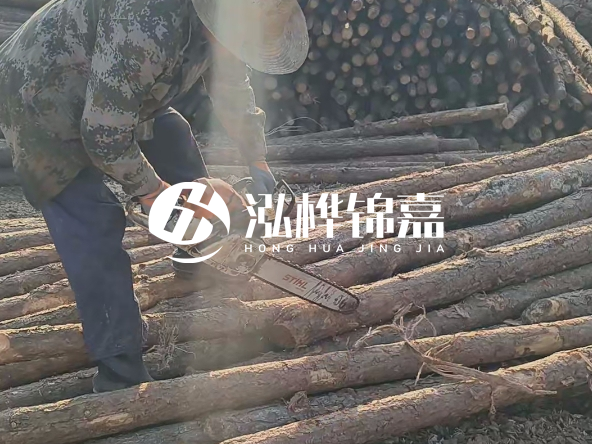 廣東打樁木源頭廠家泓樺錦嘉 - 如何選擇適合特定邊坡的松木樁？