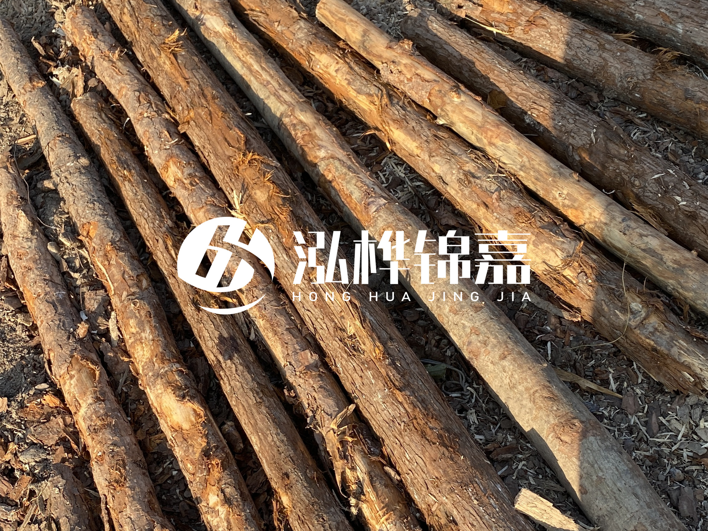 河道木樁多少錢一根？河道木樁的使用以及保養(yǎng)方法?