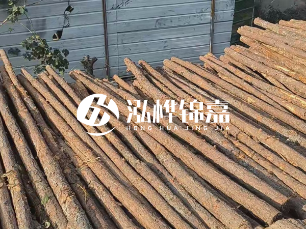 松木樁打樁后清淤怎么處理？有沒有全包的公司？