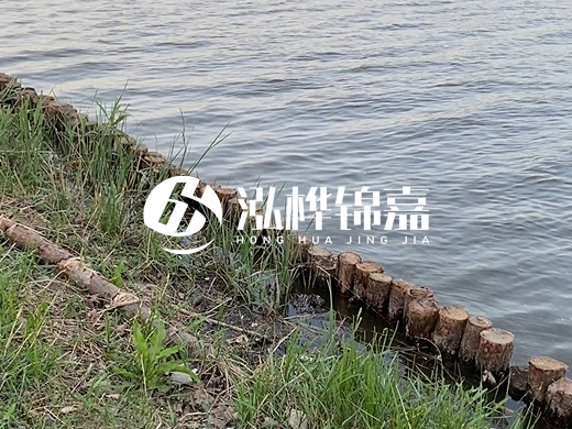 防洪松木樁施工重要性？河道打木樁的位置怎么確定？