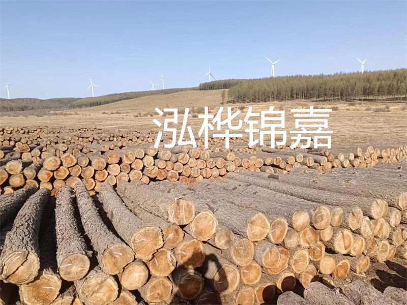 濟(jì)南哪里賣松木木樁？